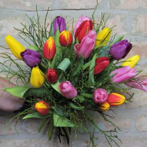Tulpenwirbel