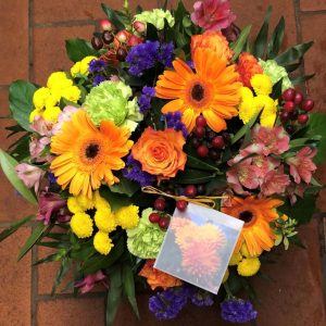 Home - Lets go colourful Let's go colourful