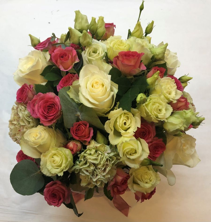 Roses and more - Roses and more Roses and more