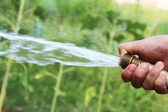 Rasenpflege - Wasserschlauch