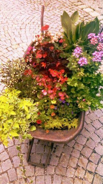 Recyling - verrostete Scheibtruhe mit Pflanzen